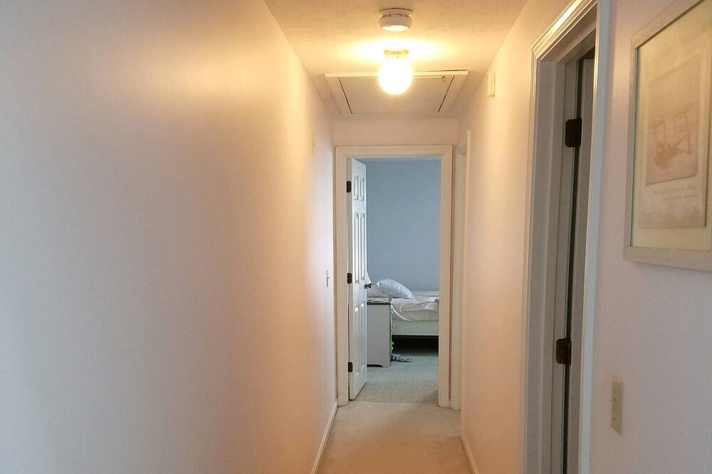 Photo of Others in Orleans