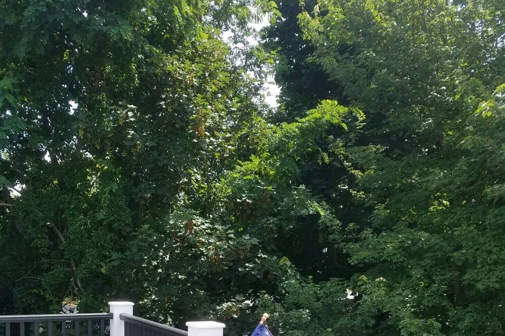 Photo of Outdoor in Orleans