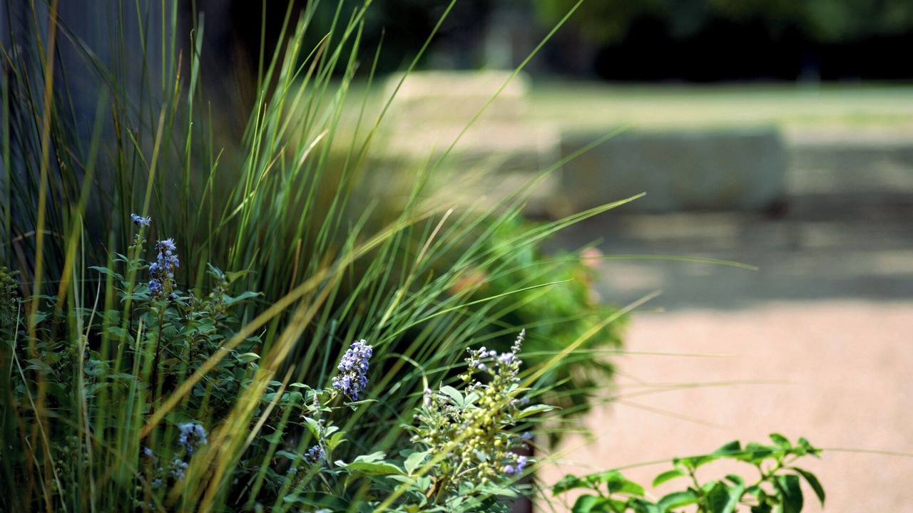 Photo of Outdoor in Brenham
