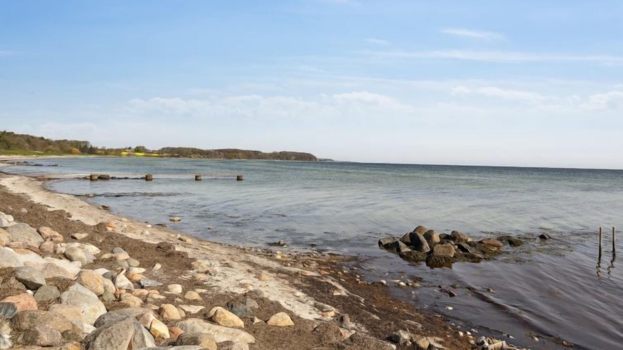 Photo of Outdoor in Vejstrup