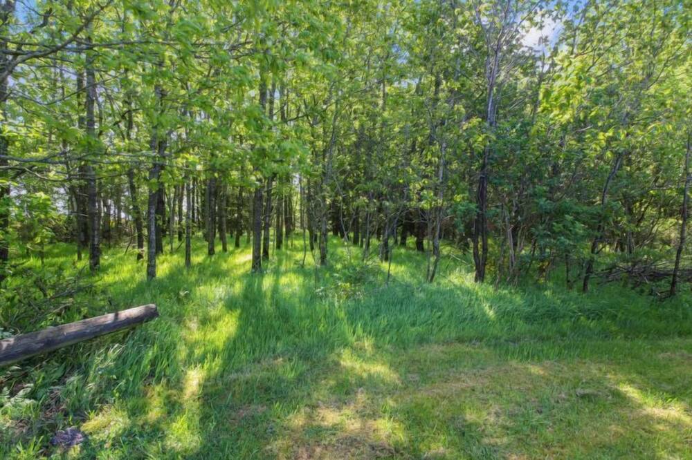 Photo of Outdoor in Nørre Vium
