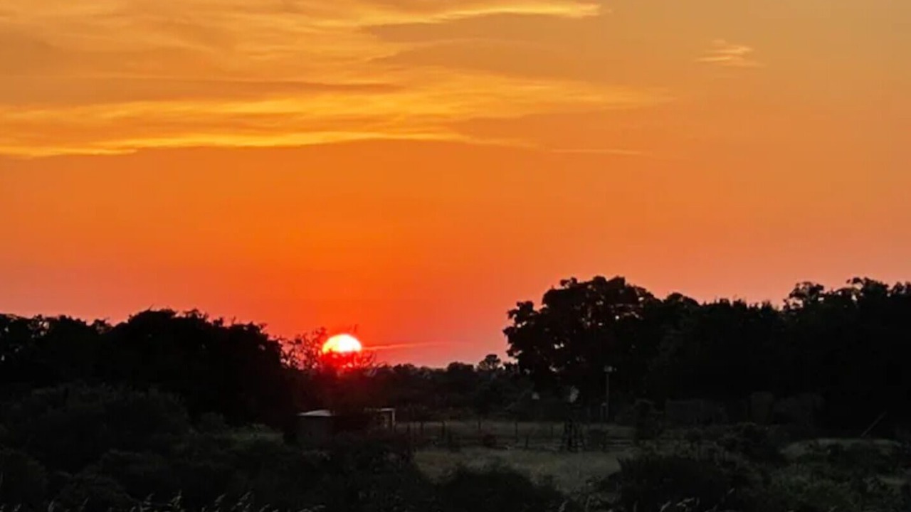 Photo of Outdoor in Lockhart