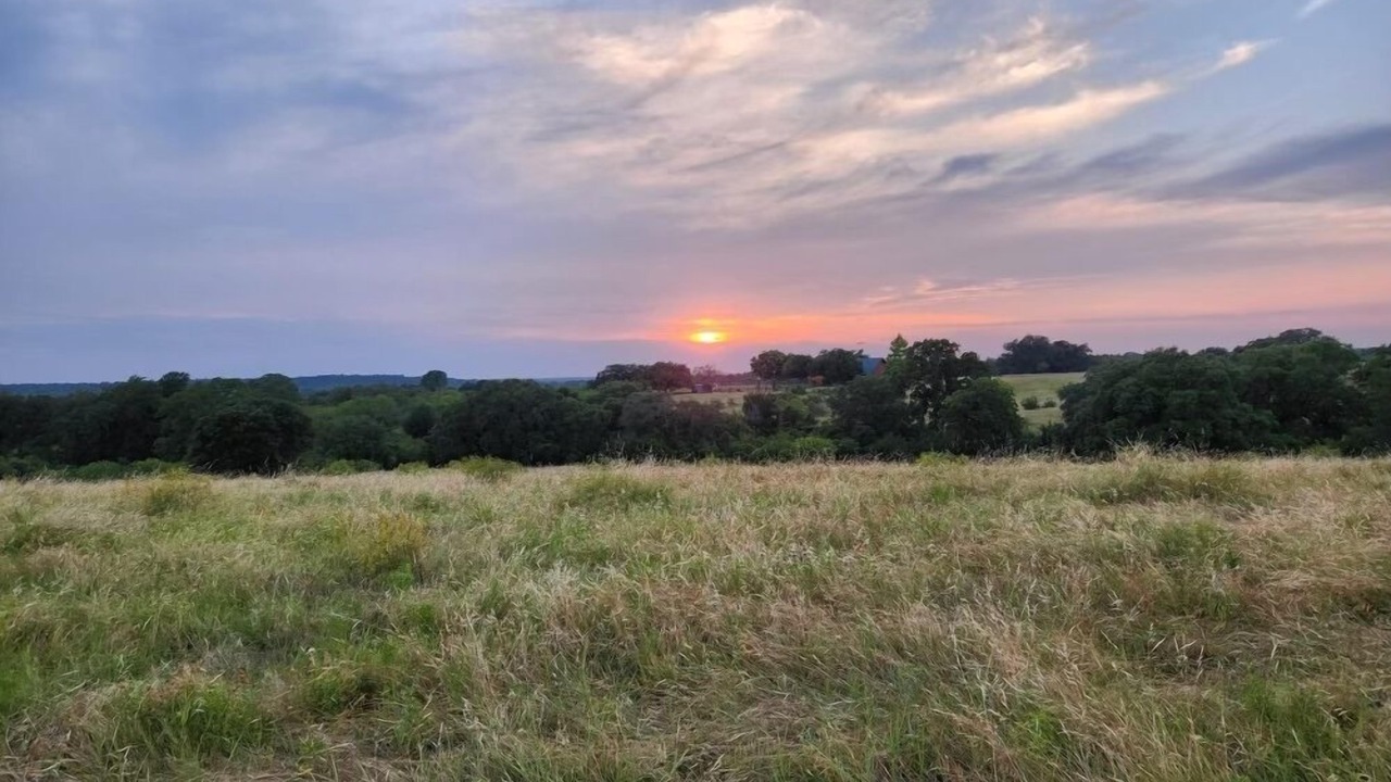 Photo of Outdoor in Lockhart