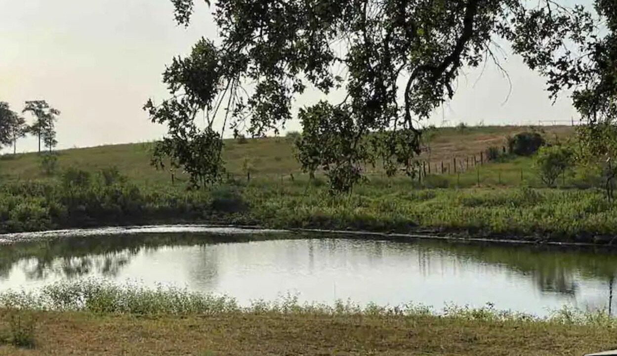 Photo of Others in Lockhart