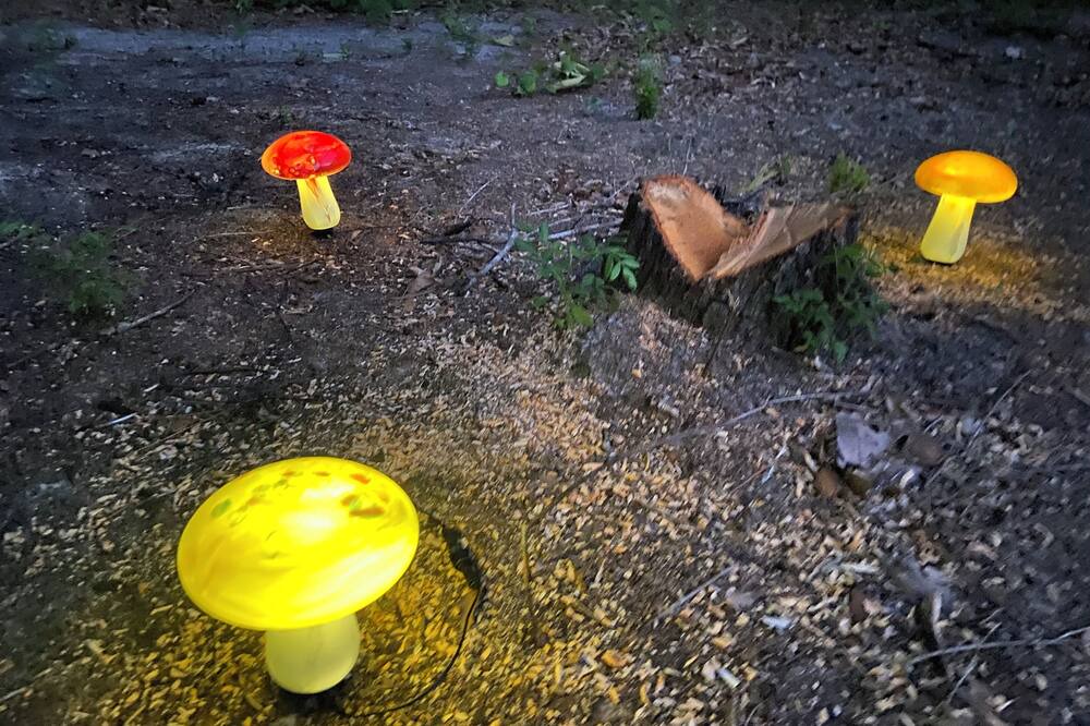 Photo of Outdoor in White Springs
