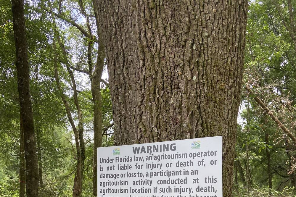 Photo of Others in White Springs
