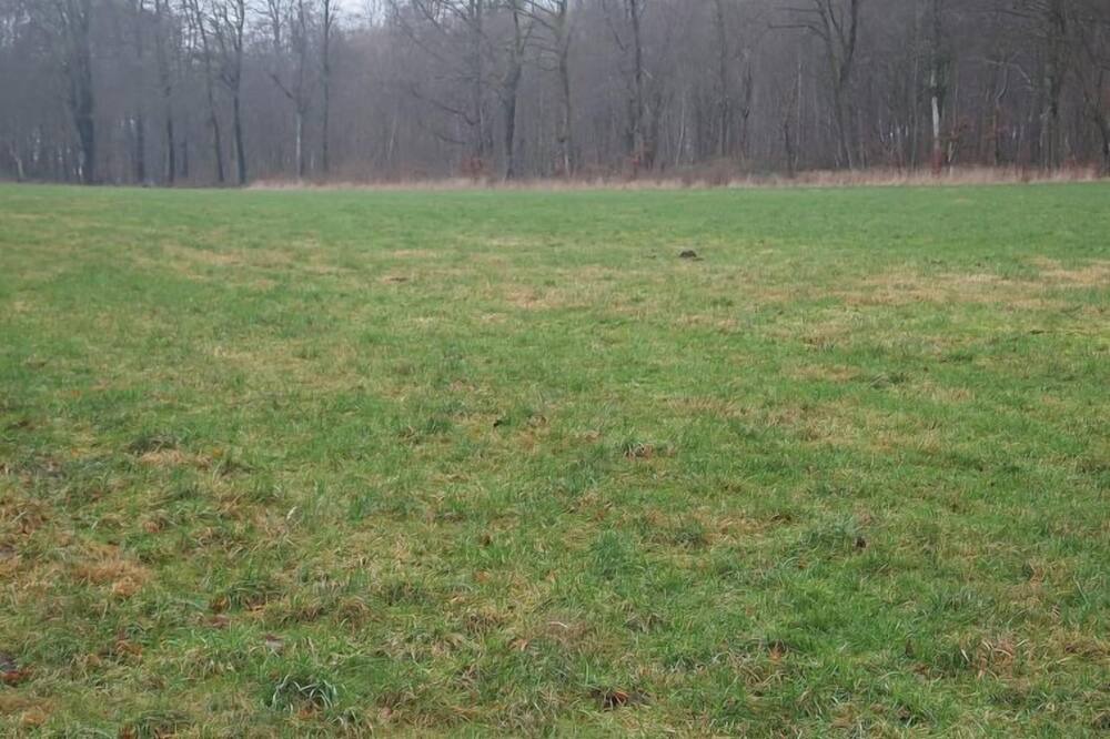 Photo of Outdoor in Hejsager Strand