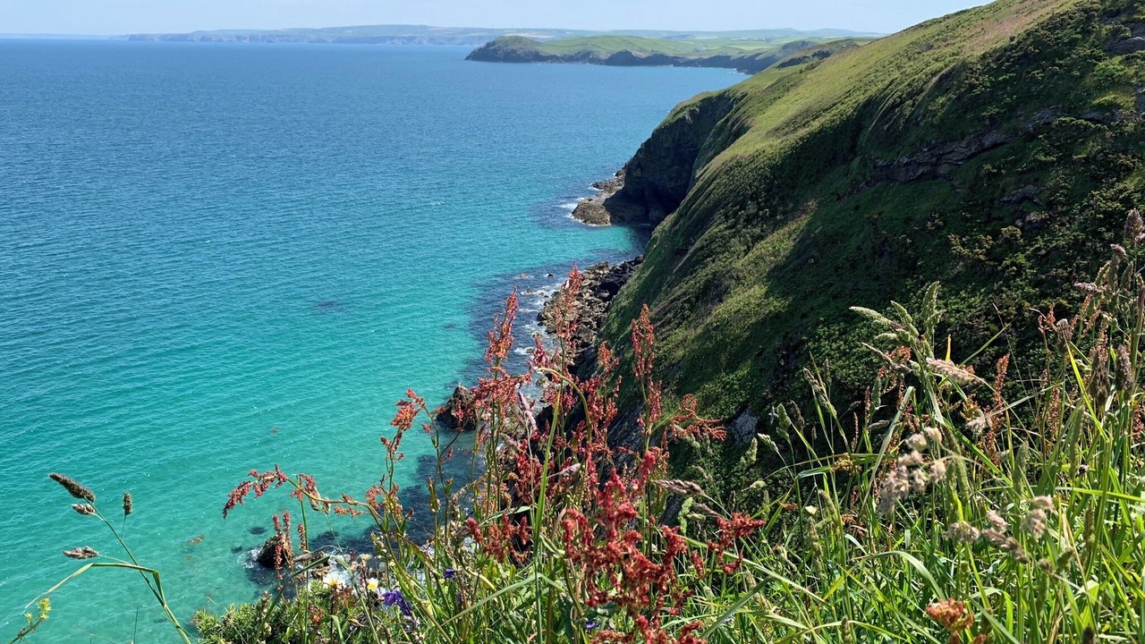 Photo of Others in Saint Kew