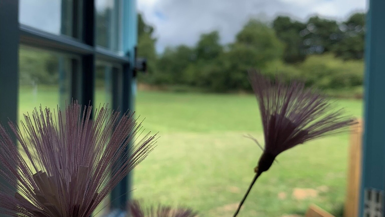 Photo of Outdoor in Saint Kew