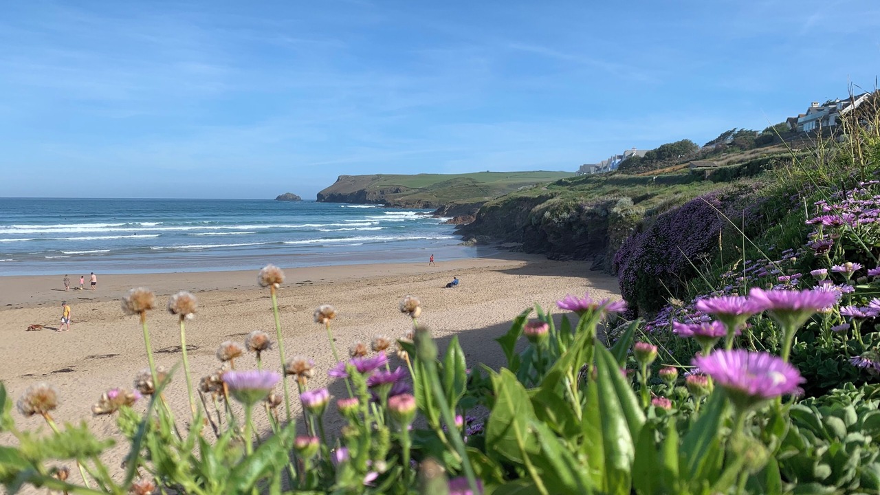 Photo of Others in Saint Kew