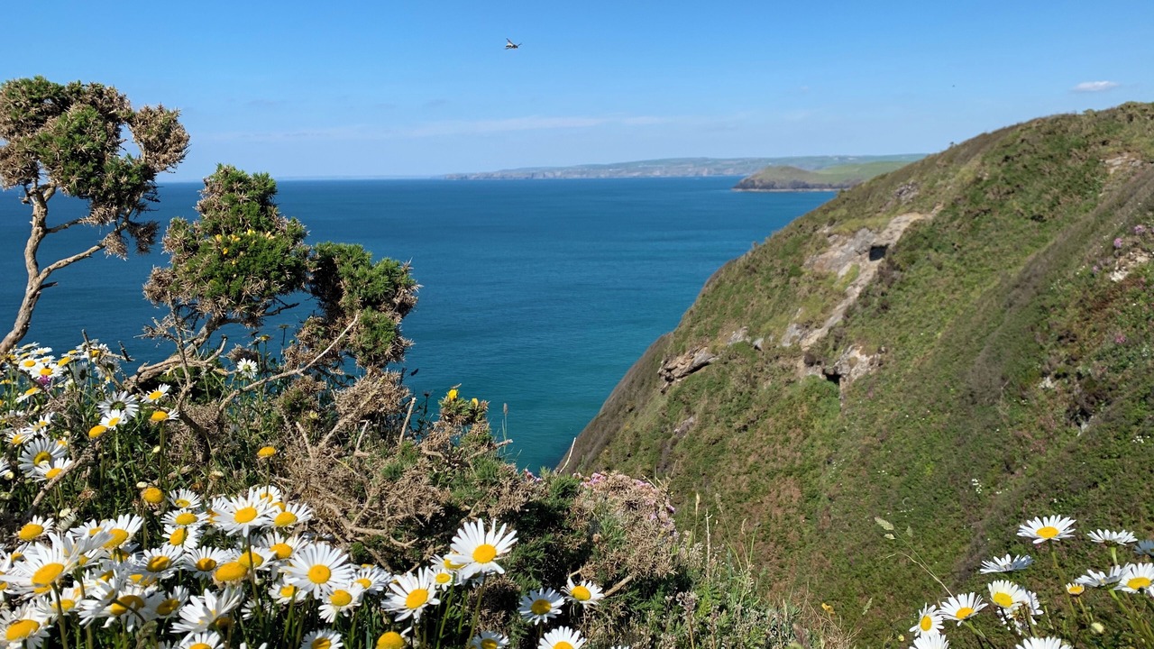 Photo of Others in Saint Kew