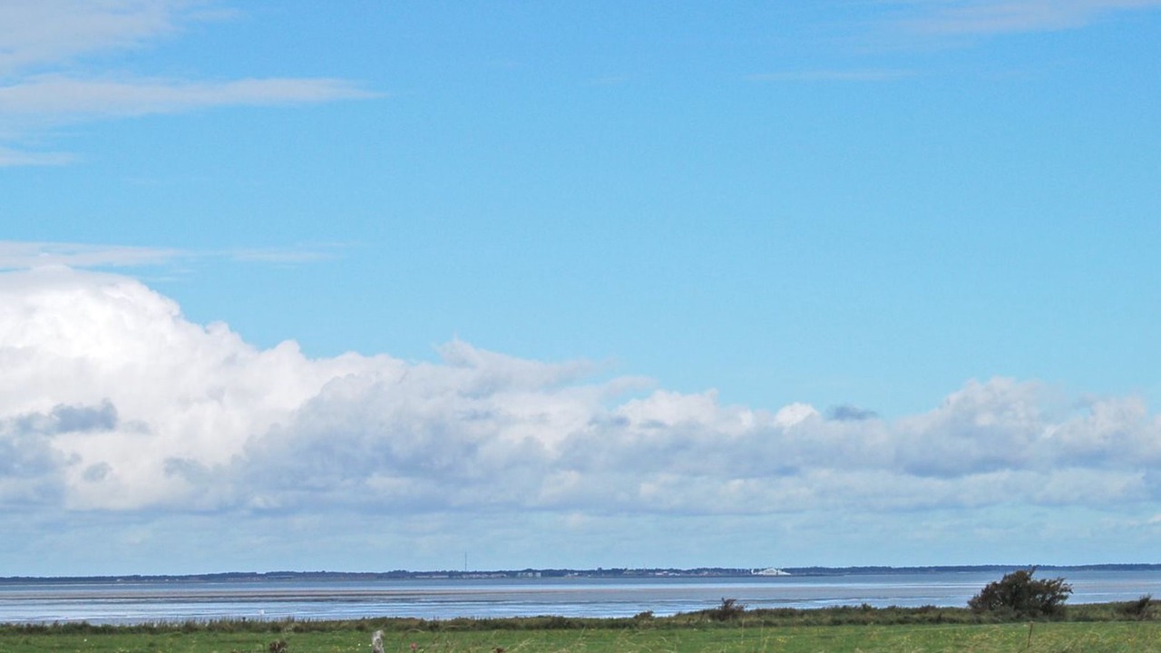 Photo of Others in Hojer