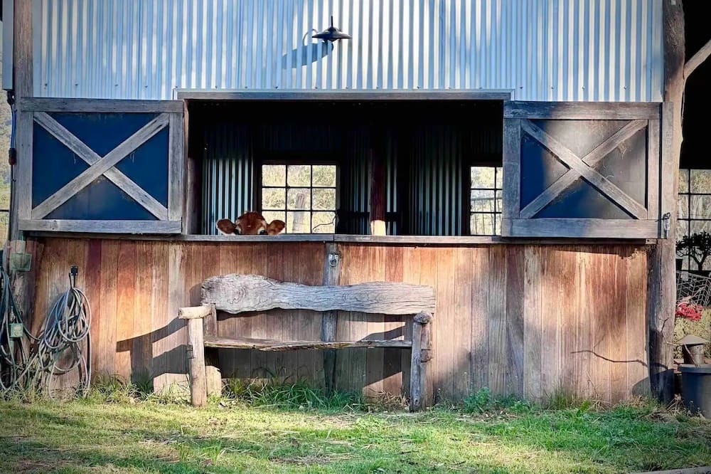 Photo of Outdoor in Kurrajong Hills