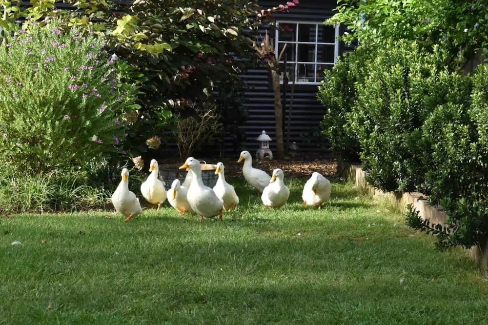 Photo of Outdoor in Kurrajong Hills