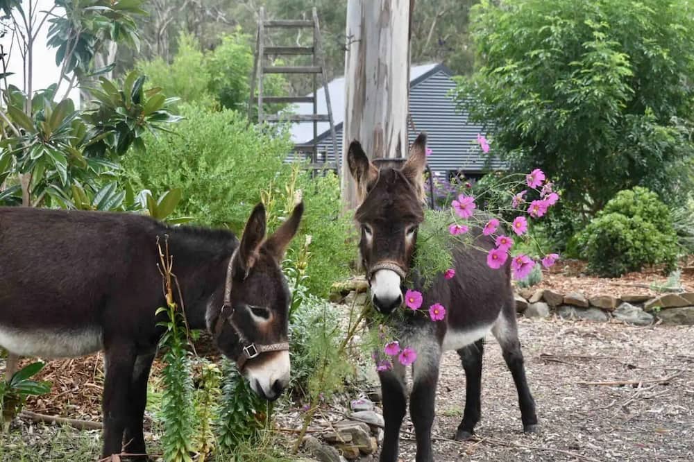 Photo of Outdoor in Kurrajong Hills