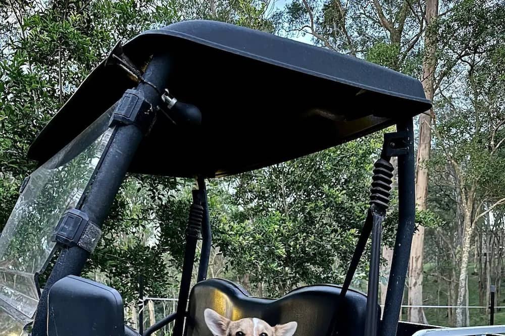 Photo of Others in Kurrajong Hills