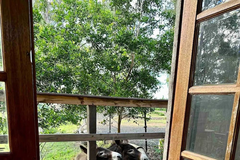 Photo of Others in Kurrajong Hills