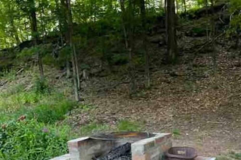 Photo of Outdoor in Catskill