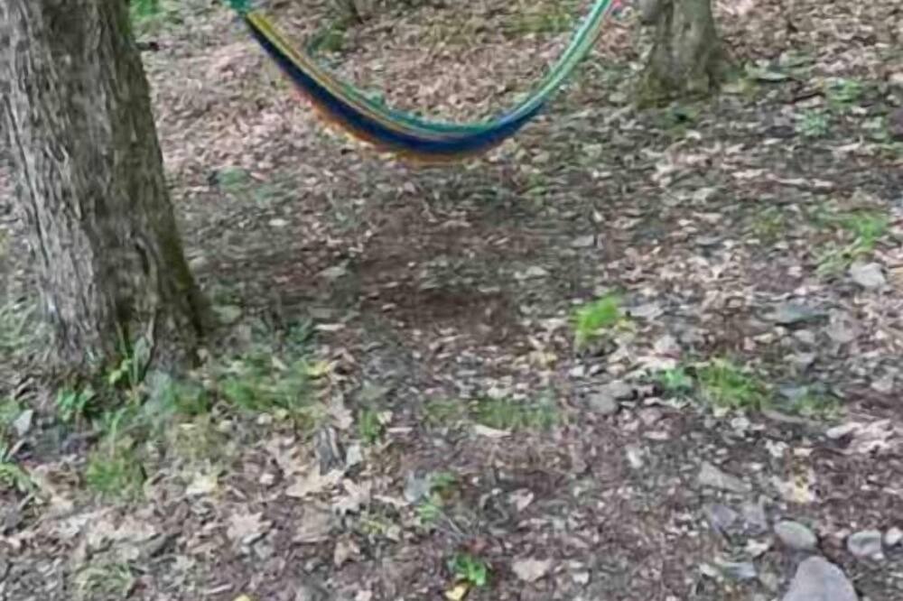 Photo of Others in Catskill