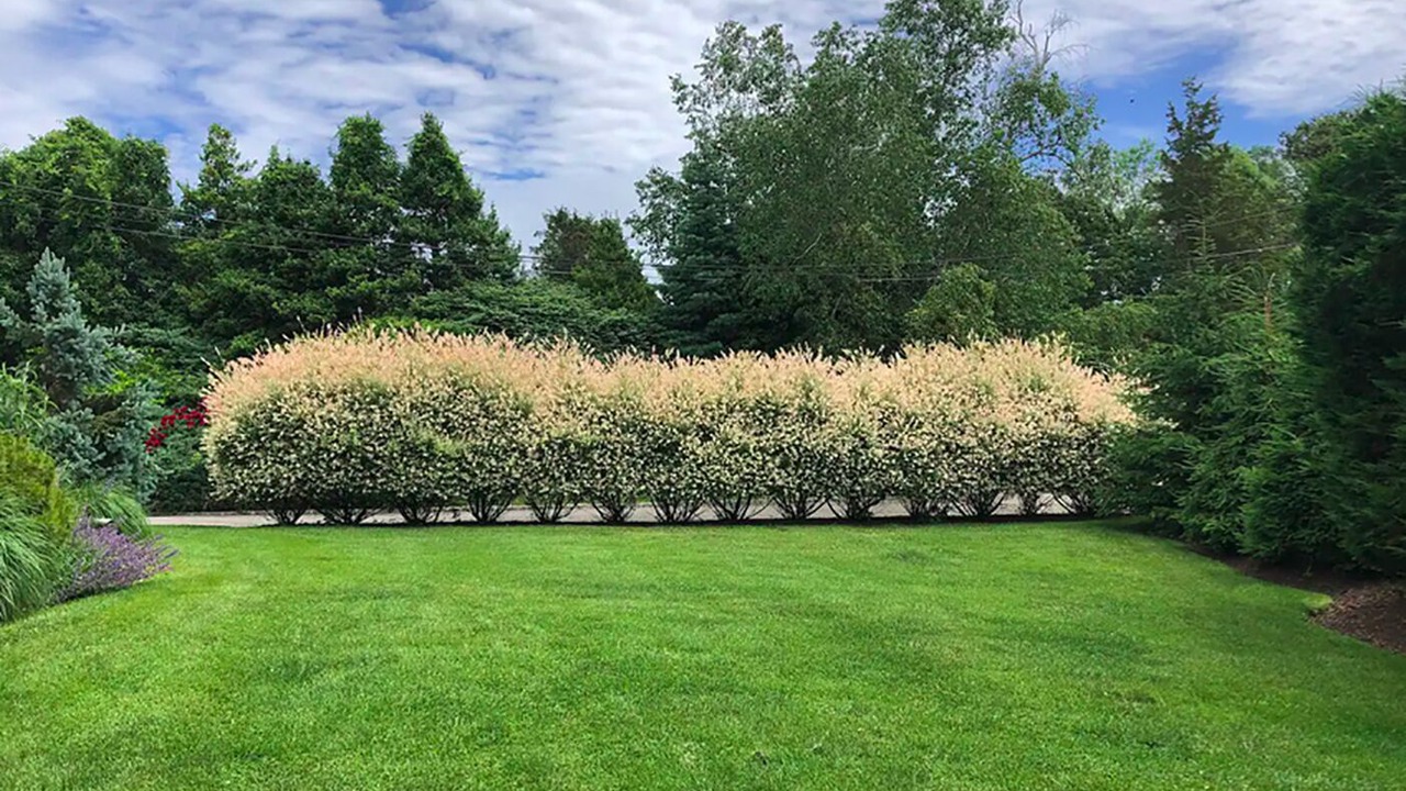 Photo of Outdoor in Mattituck
