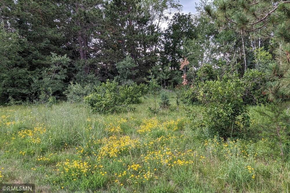 Photo of Outdoor in Gordon