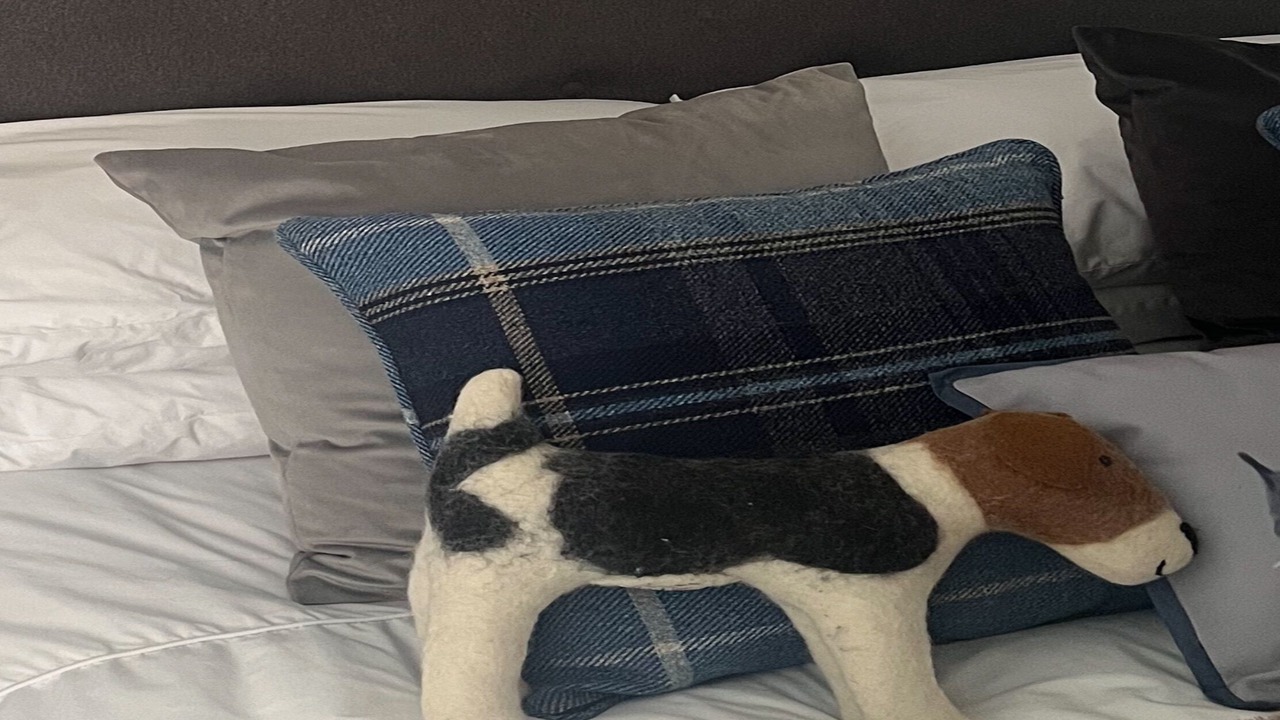 Photo of Others in Sprowston