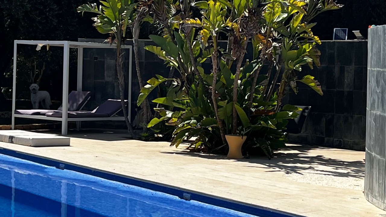 Photo of Outdoor in Elche