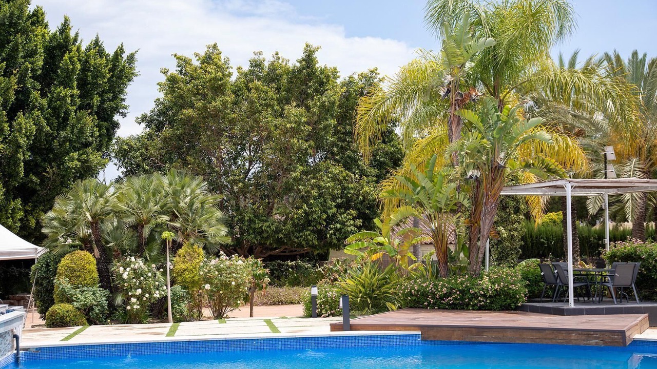 Photo of Outdoor in Elche
