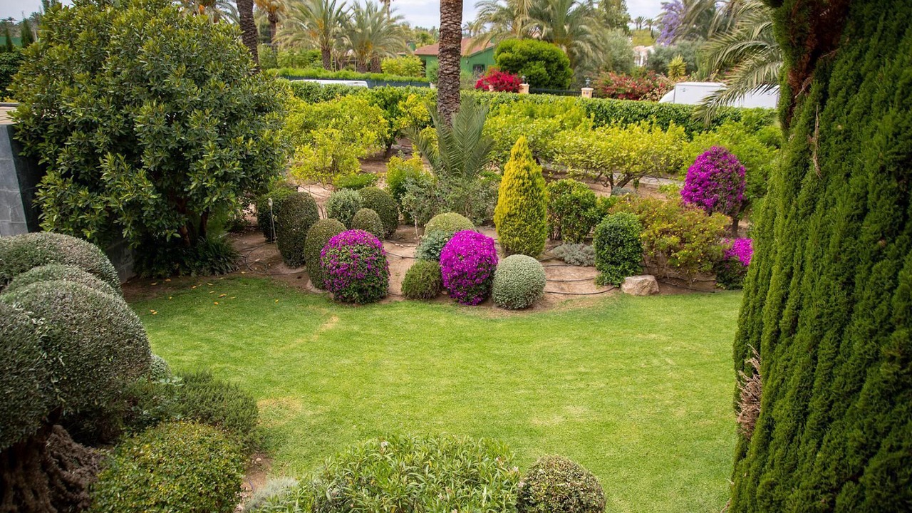 Photo of Outdoor in Elche
