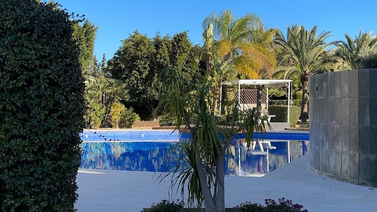 Photo of Outdoor in Elche