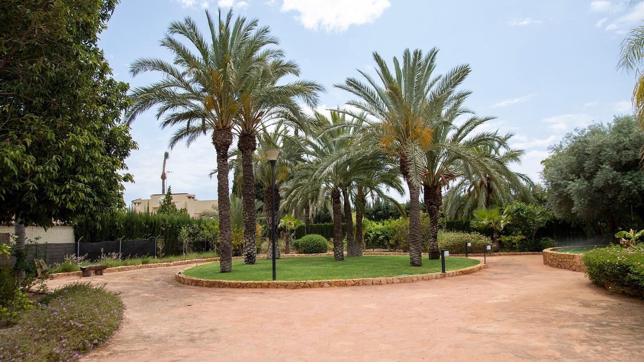 Photo of Outdoor in Elche