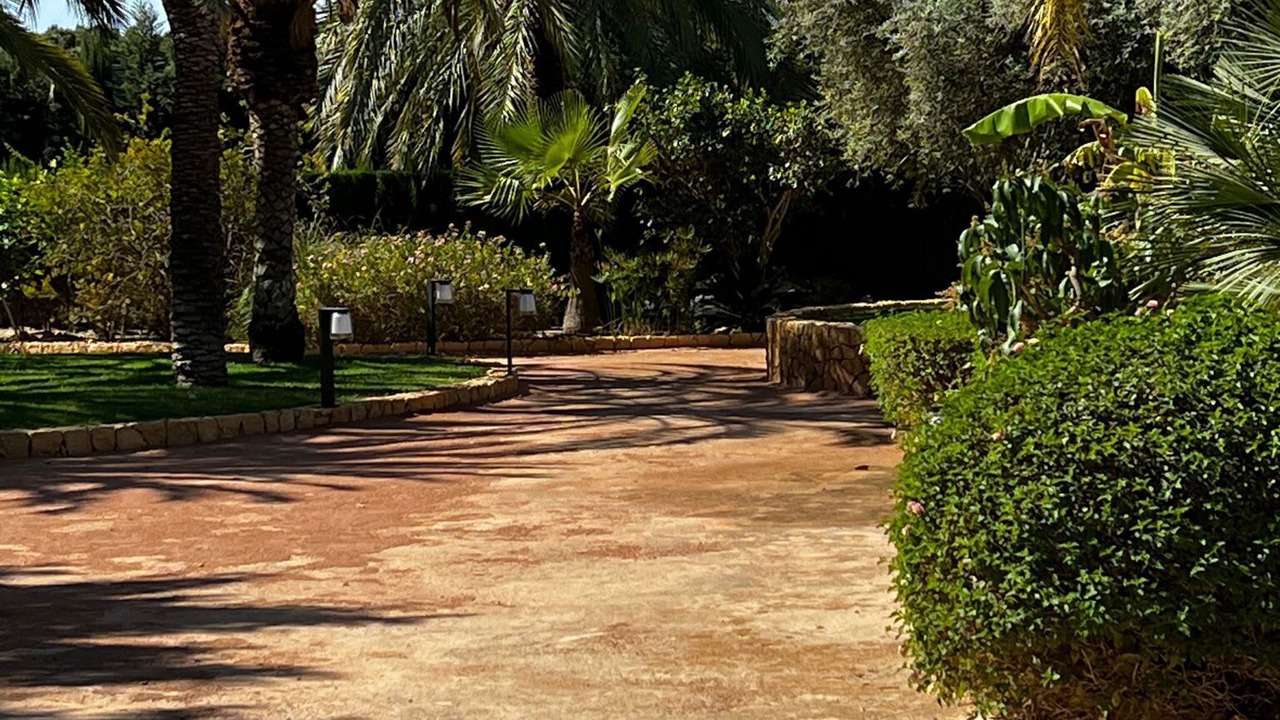 Photo of Outdoor in Elche