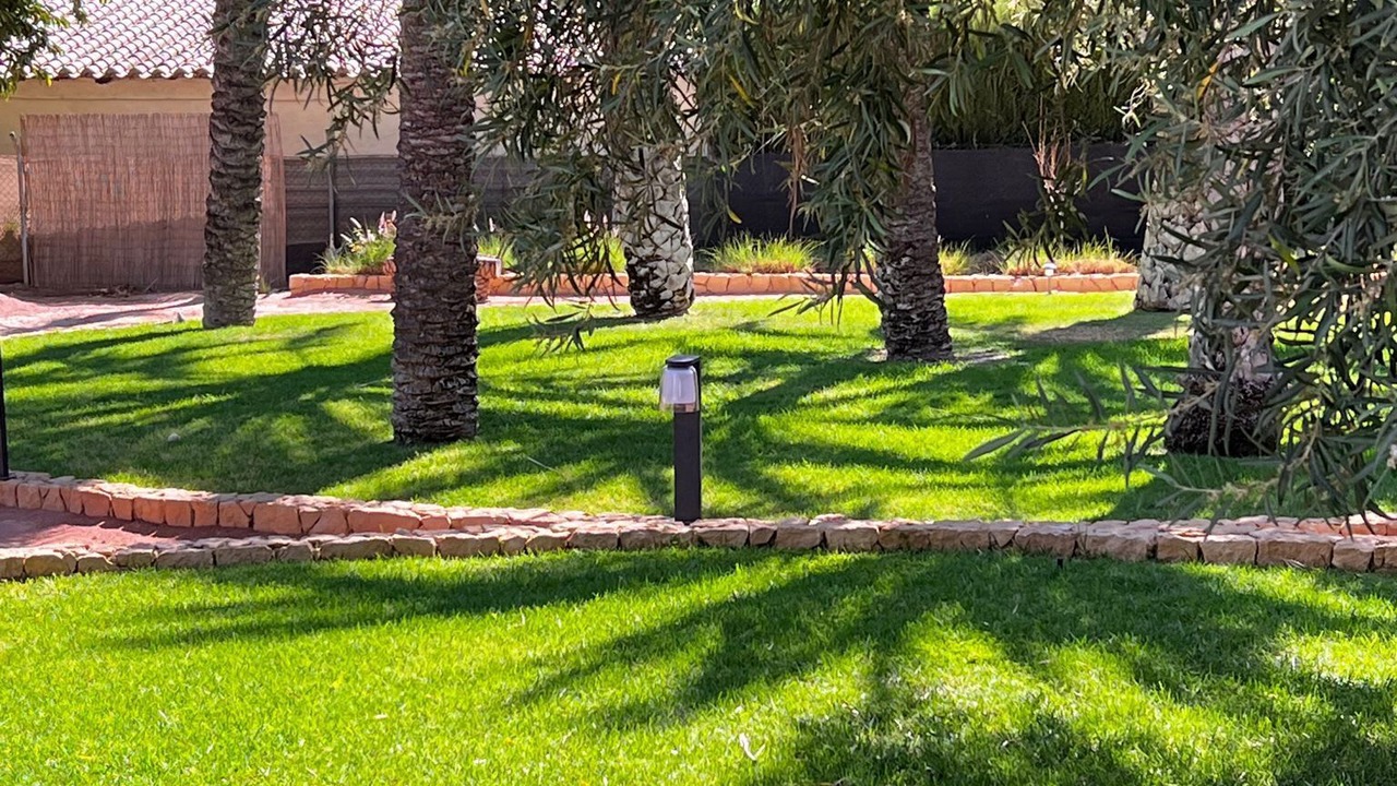 Photo of Outdoor in Elche
