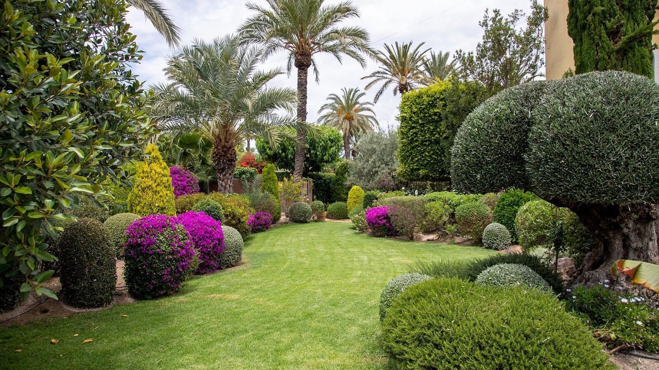 Photo of Outdoor in Elche