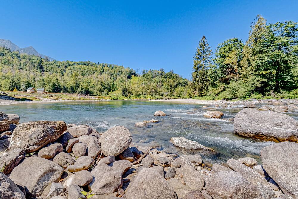 Photo of Others in Gold Bar