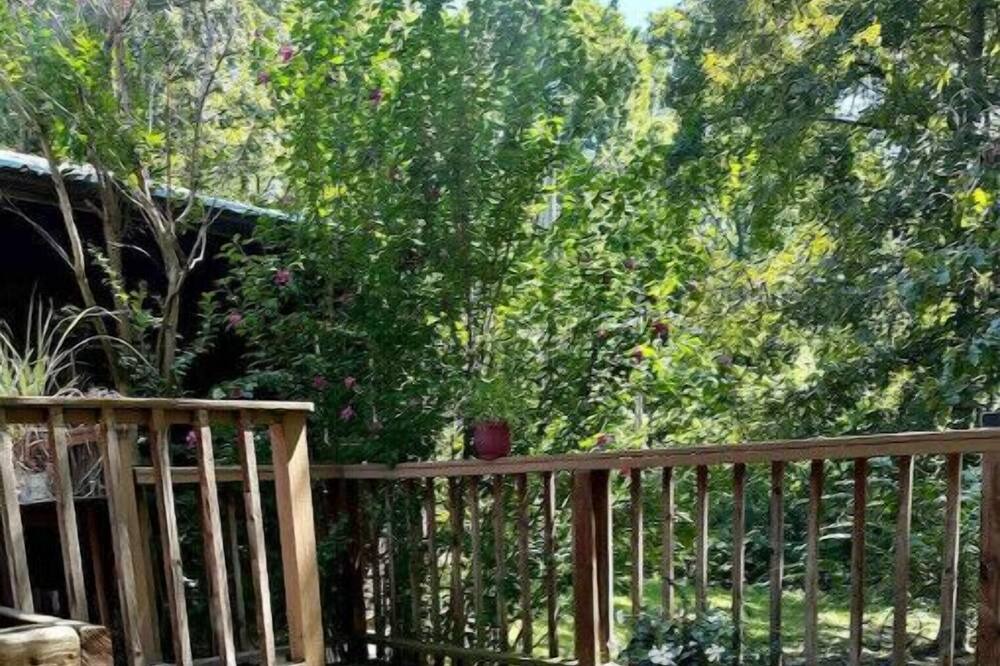 Photo of Outdoor in Seligman