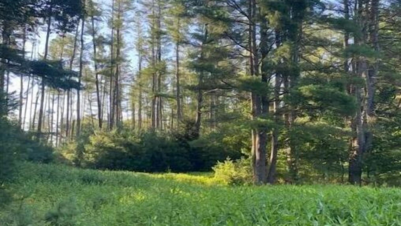Photo of Outdoor in Durhamville