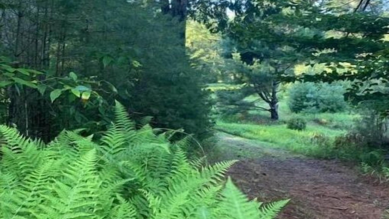Photo of Outdoor in Durhamville