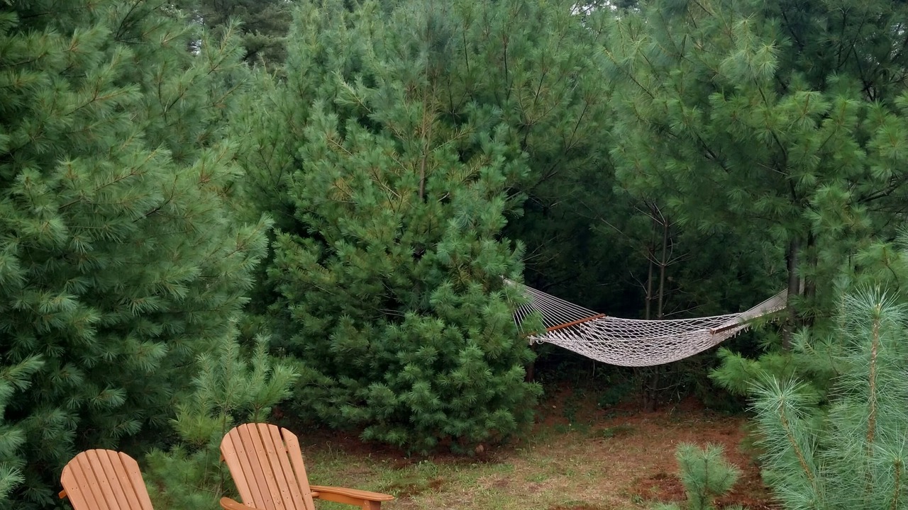 Photo of Outdoor in Durhamville