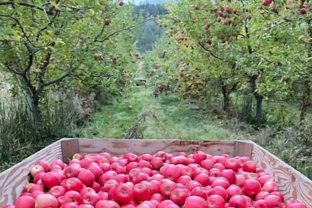 Photo of Outdoor in Kettle Falls