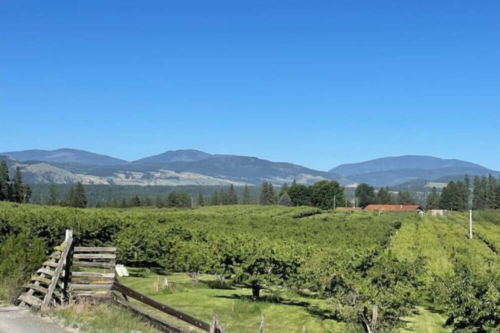 Photo of Others in Kettle Falls