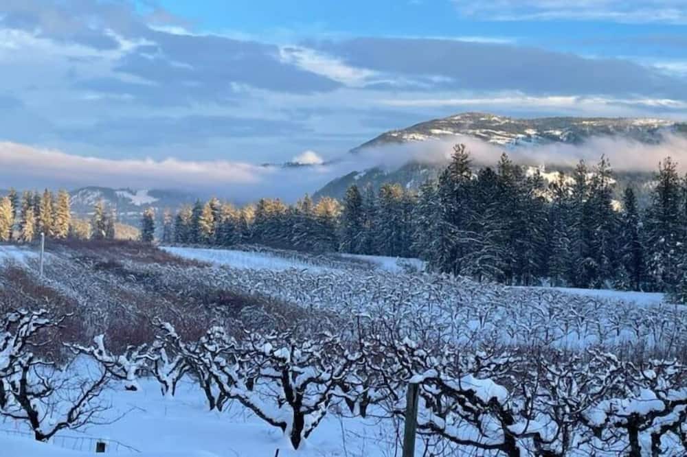 Photo of Others in Kettle Falls