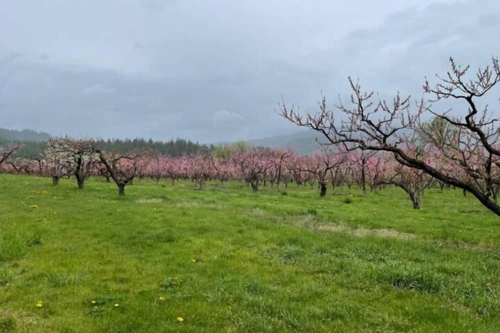 Photo of Others in Kettle Falls