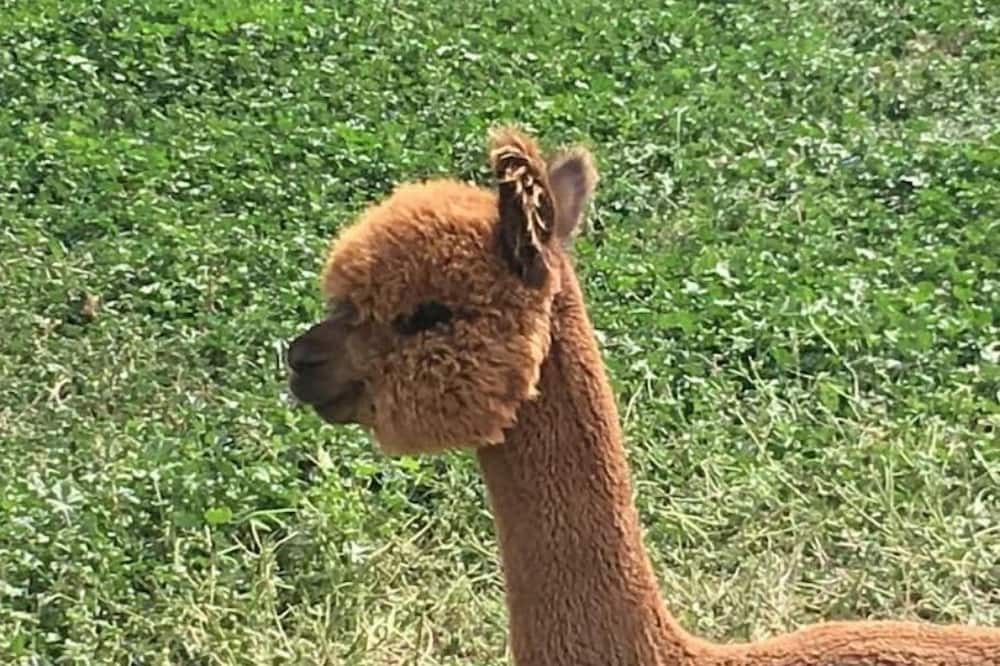 Photo of Others in Kettle Falls