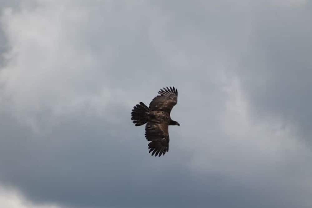 Photo of Outdoor in Kettle Falls