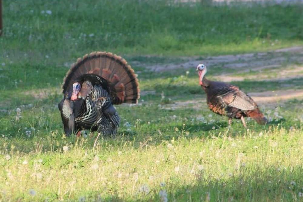 Photo of Others in Kettle Falls