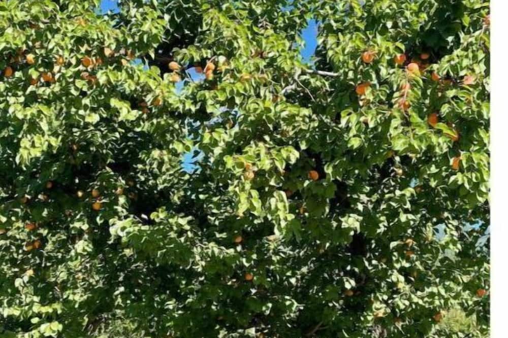 Photo of Outdoor in Kettle Falls