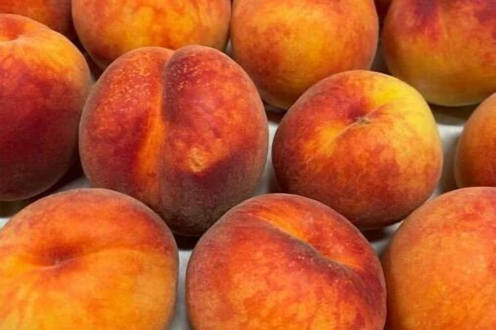 Photo of Others in Kettle Falls