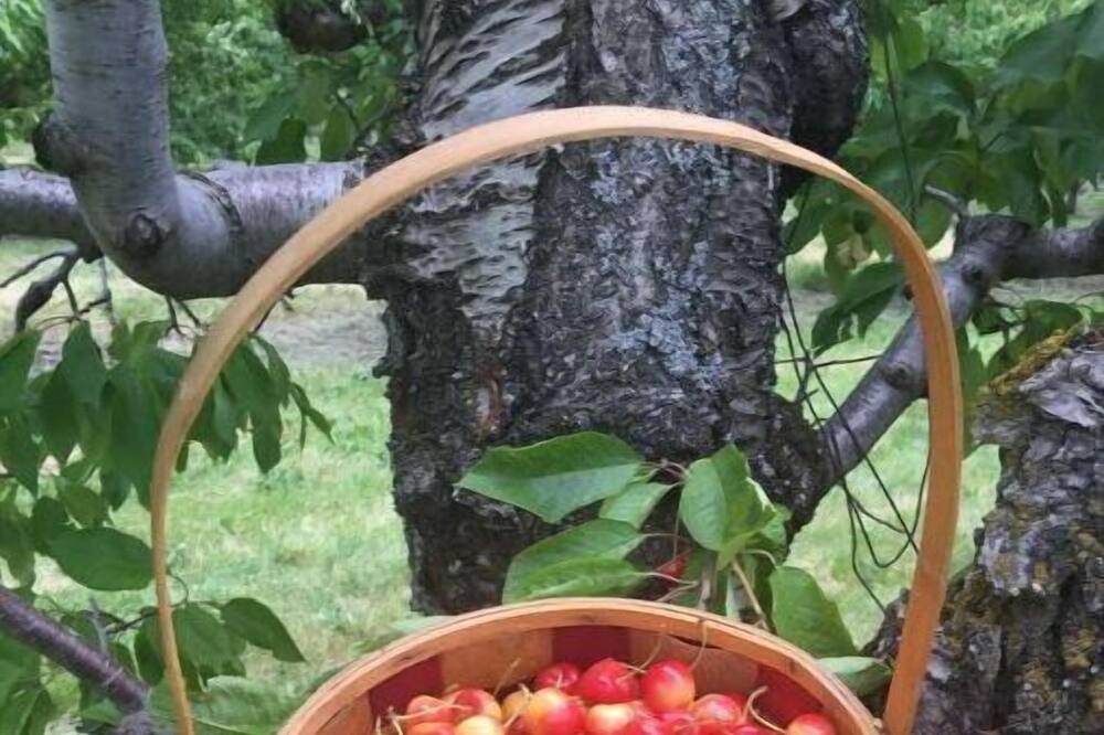 Photo of Others in Kettle Falls