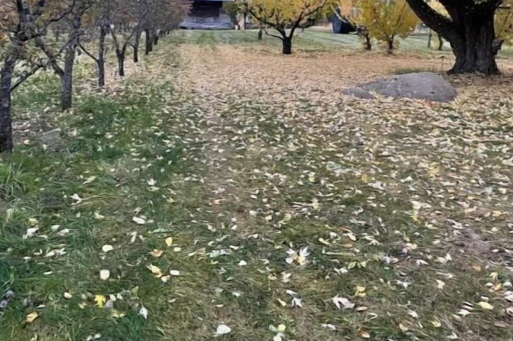 Photo of Others in Kettle Falls